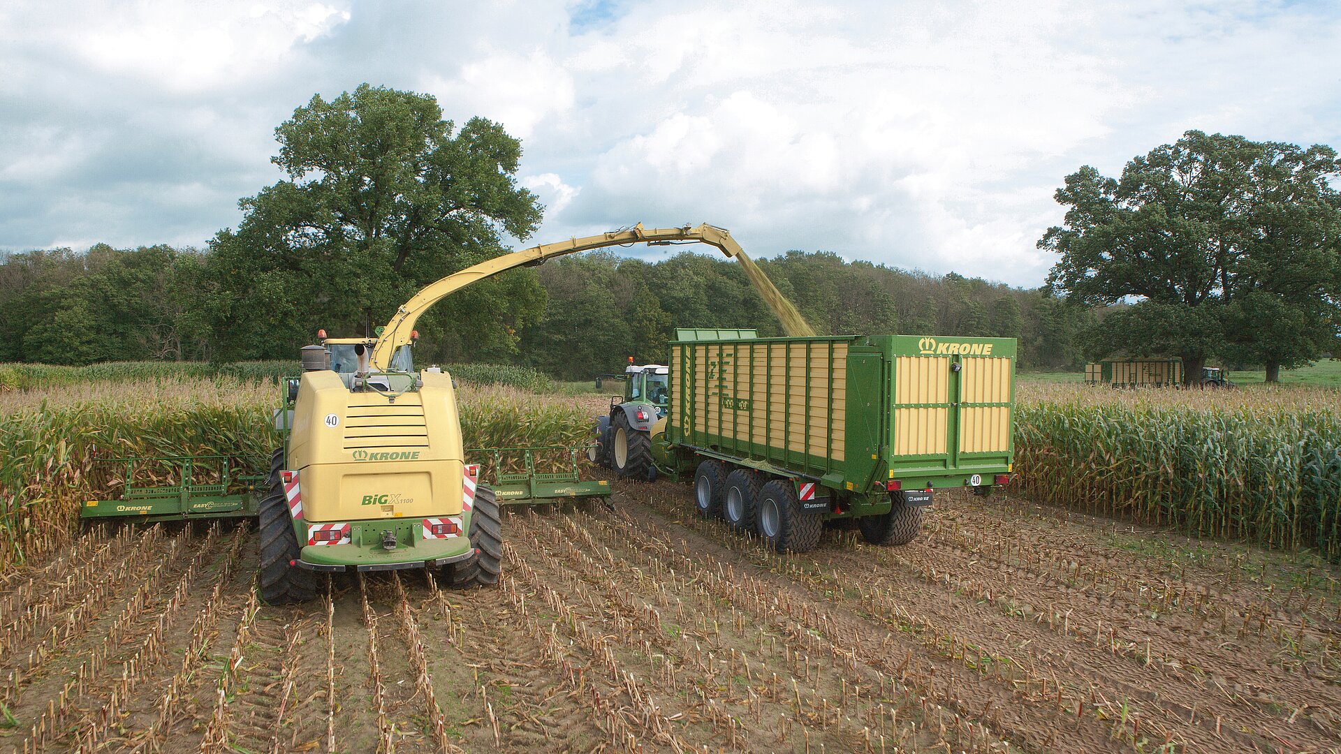 Mähdrescher und Traktor mit Anhänger arbeiten auf Feld