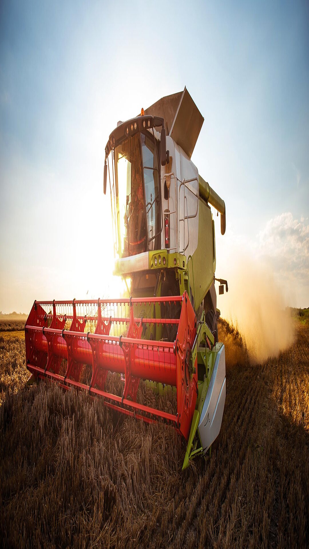 Mähdrescher Landmaschine auf Feld