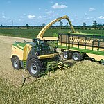 Mähdrescher und Traktor mit Anhänger arbeiten auf Feld